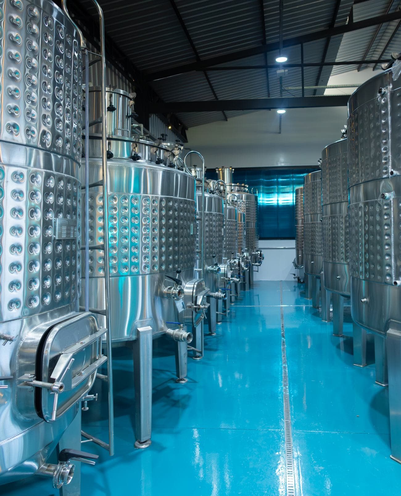 Tanques de inox na sala de vinificação da Arpuro